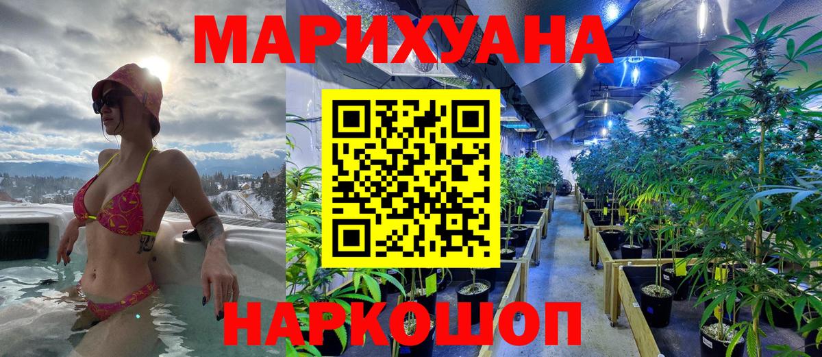Бошки Шишки план Елец